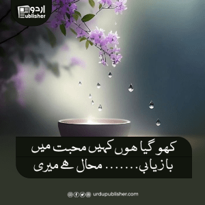 اردو شاعری
