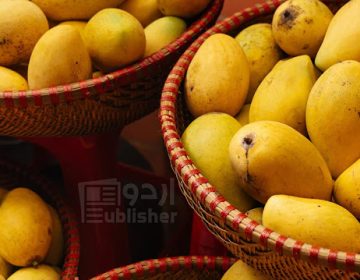انور رٹول آم