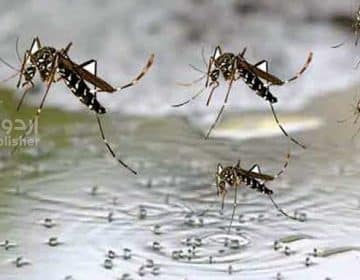 ڈینگی ویکسین