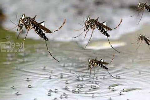 ڈینگی ویکسین